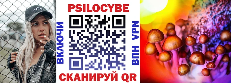 купить закладку Белокуриха Псилоцибиновые грибы Magic Shrooms